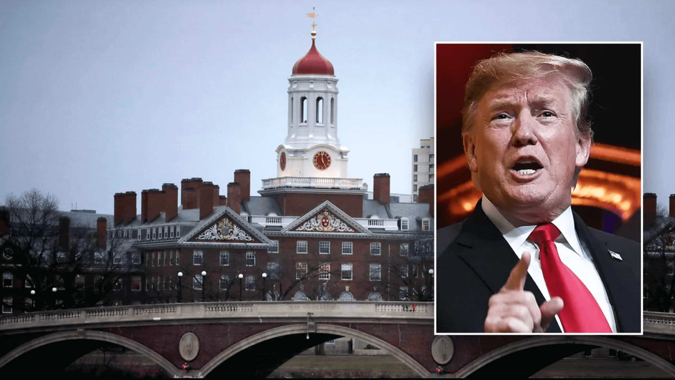 Is Trump Really Blocking Harvard from Welcoming the World’s Brightest Minds?